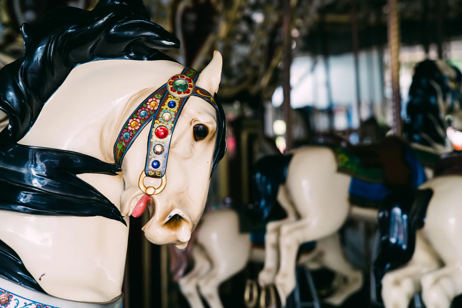 How Old Are the Oldest Surviving Horses? (Image Credits: Pexels)