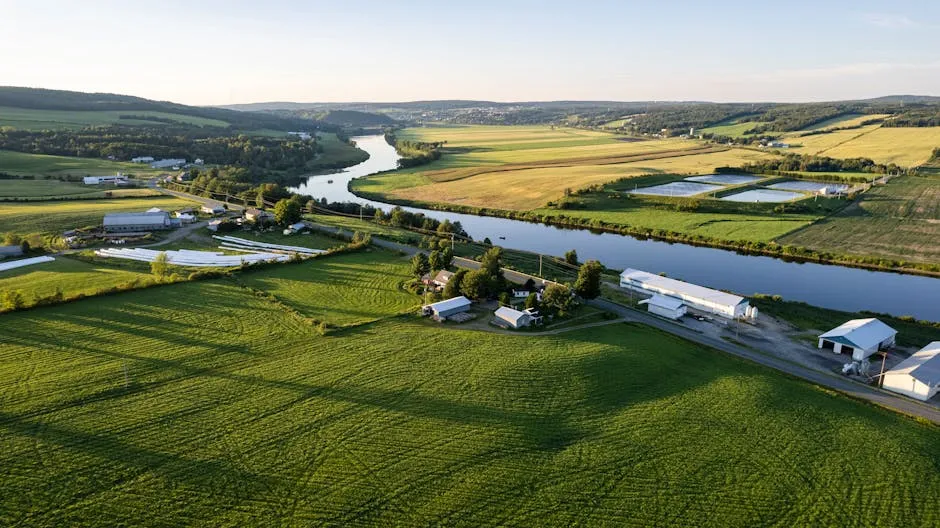 A Land Called Grand-Pré: "The Great Meadow" (Image Credits: Pexels)