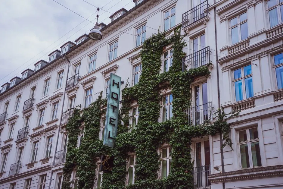 The Quiet Power of Repeat Visits (Image Credits: Pexels)