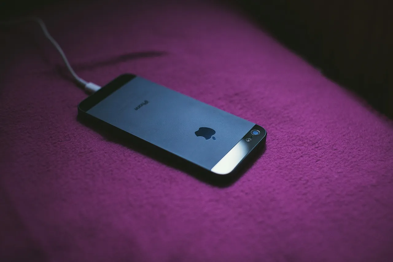 Keep Your Phone Charged and Your Boarding Pass Accessible (Image Credits: Pixabay)