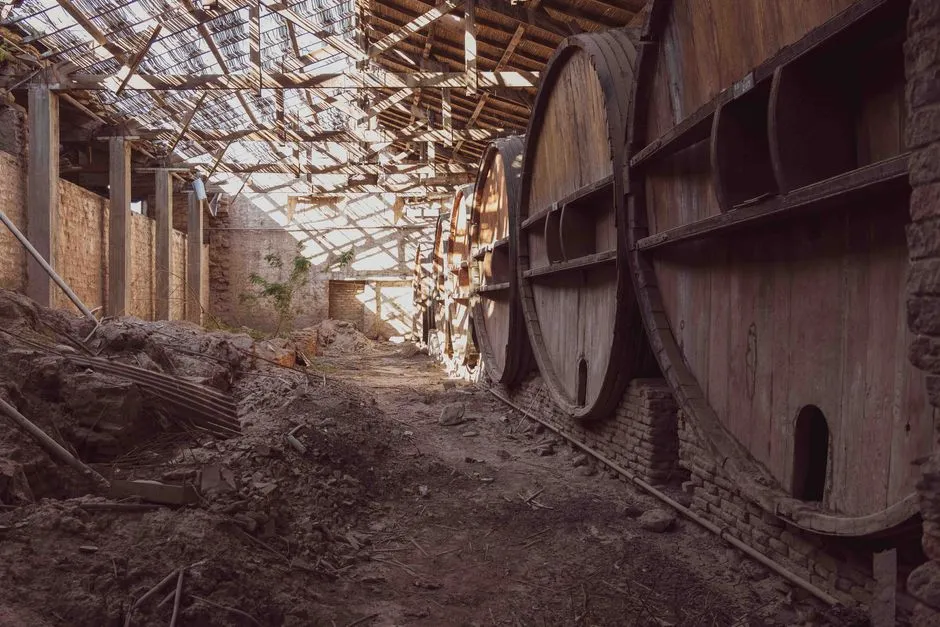 Agritourism Is the Real Draw (Image Credits: Pexels)