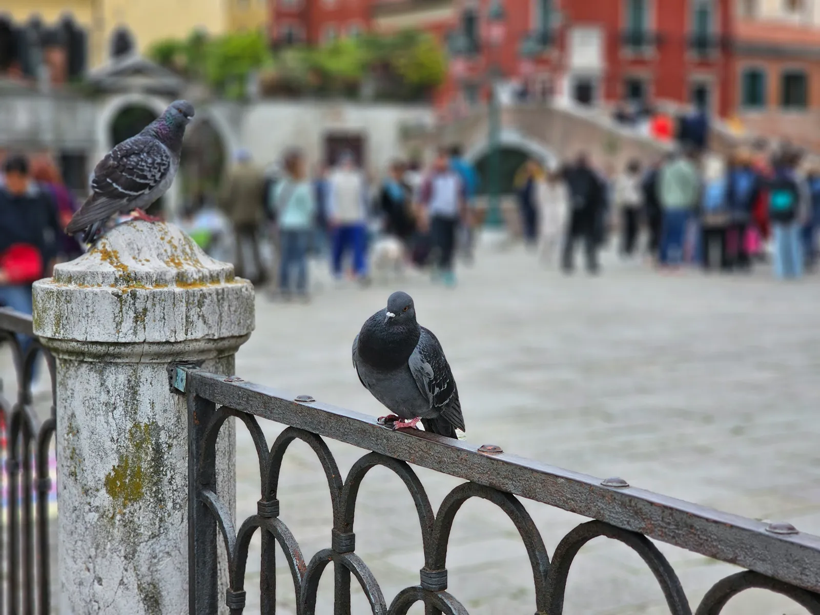 How Overcrowded the Square Had Become (Image Credits: Unsplash)