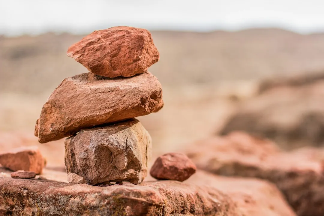 Communities and Conservationists Are Already Responding (Image Credits: Unsplash)