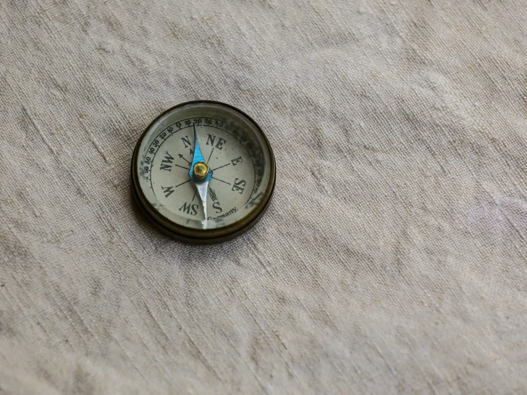 Why Magnetic North, Not True North (Image Credits: Unsplash)