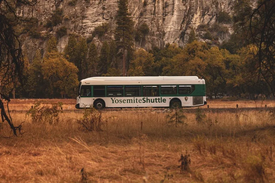 How Widespread Shuttle Networks Actually Are (Image Credits: Pexels)