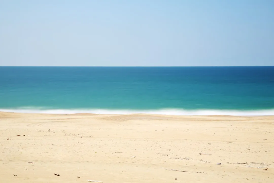 How You Handle Stress at Home Predicts Which Landscape You'll Choose (Image Credits: Unsplash)