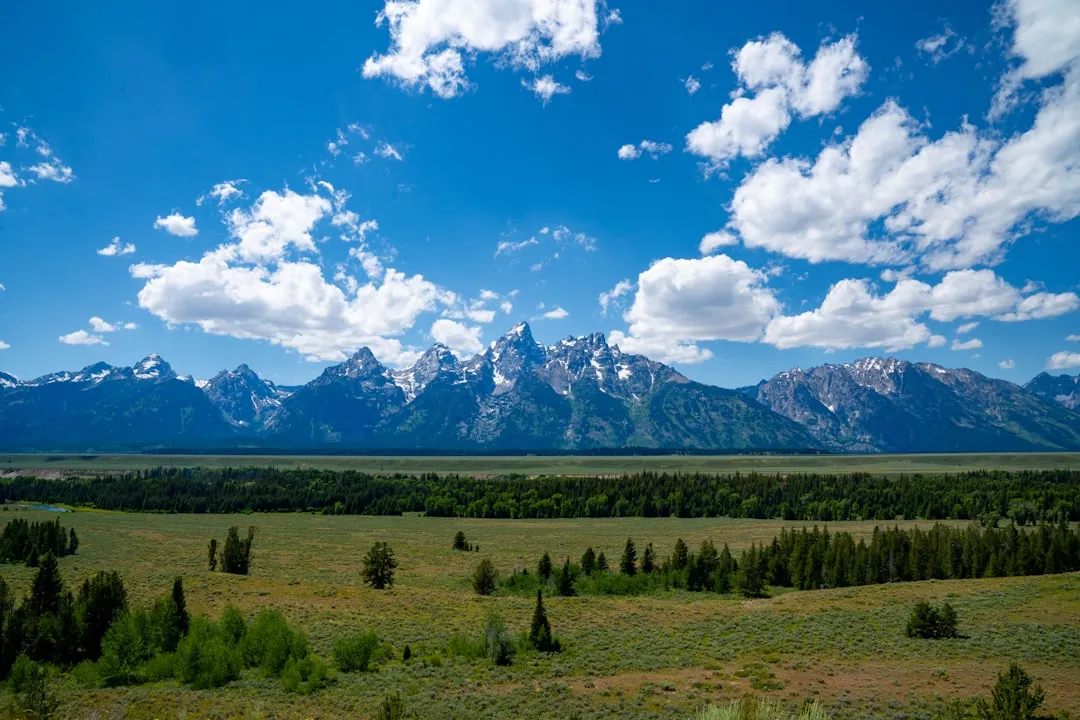 Hiking Trails That Go On for Miles (Image Credits: Unsplash)