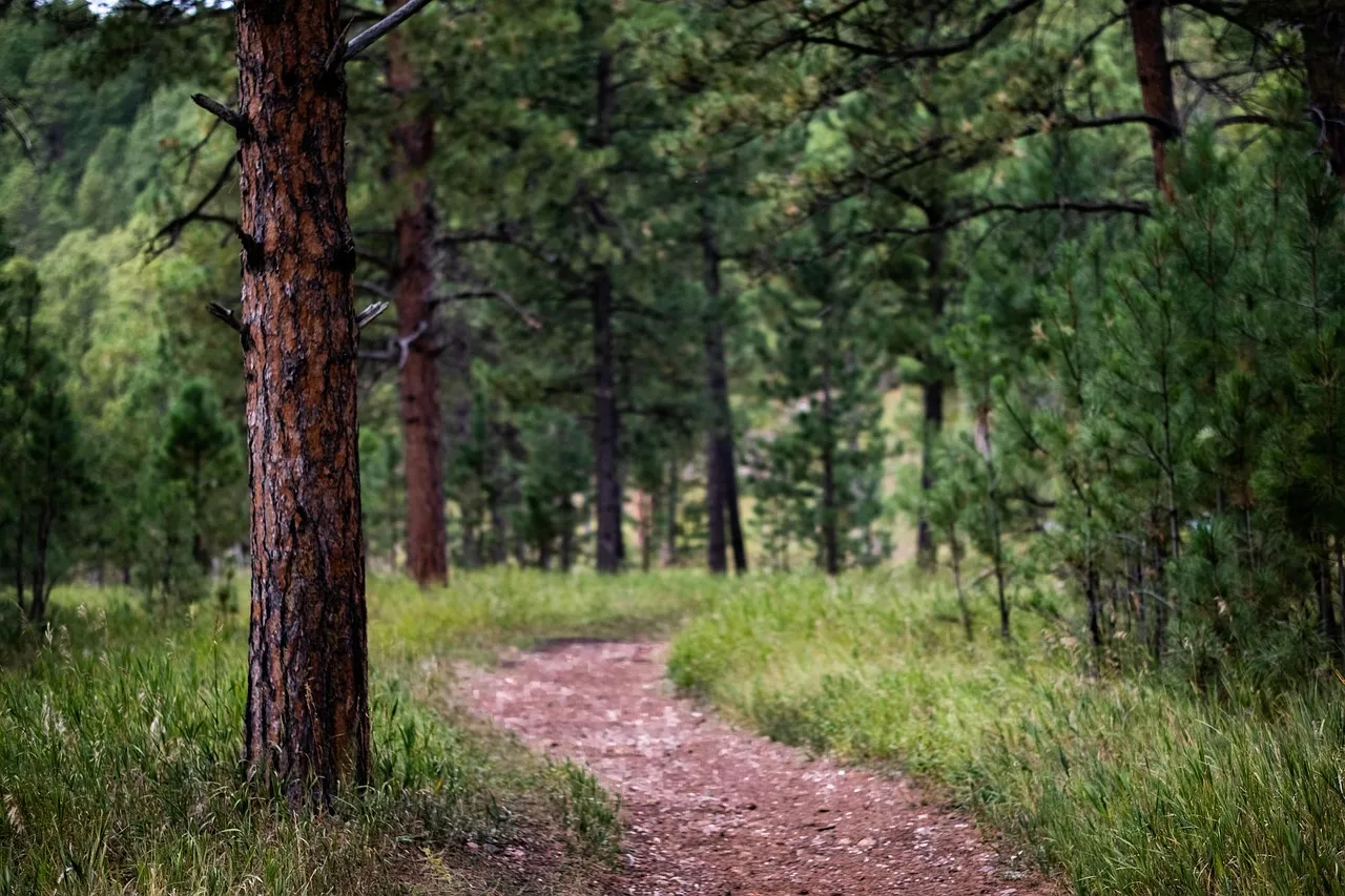 Nearby Natural Areas Worth the Detour (Image Credits: Pixabay)