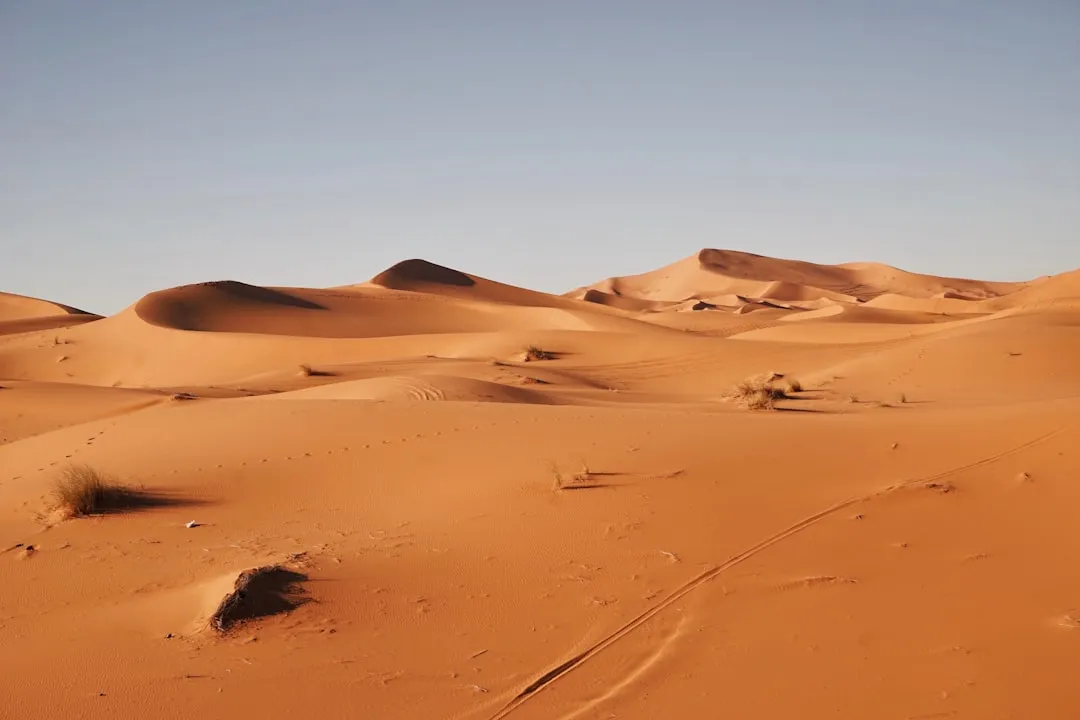 Fire Signs and the Desert: A Natural Match (Image Credits: Unsplash)