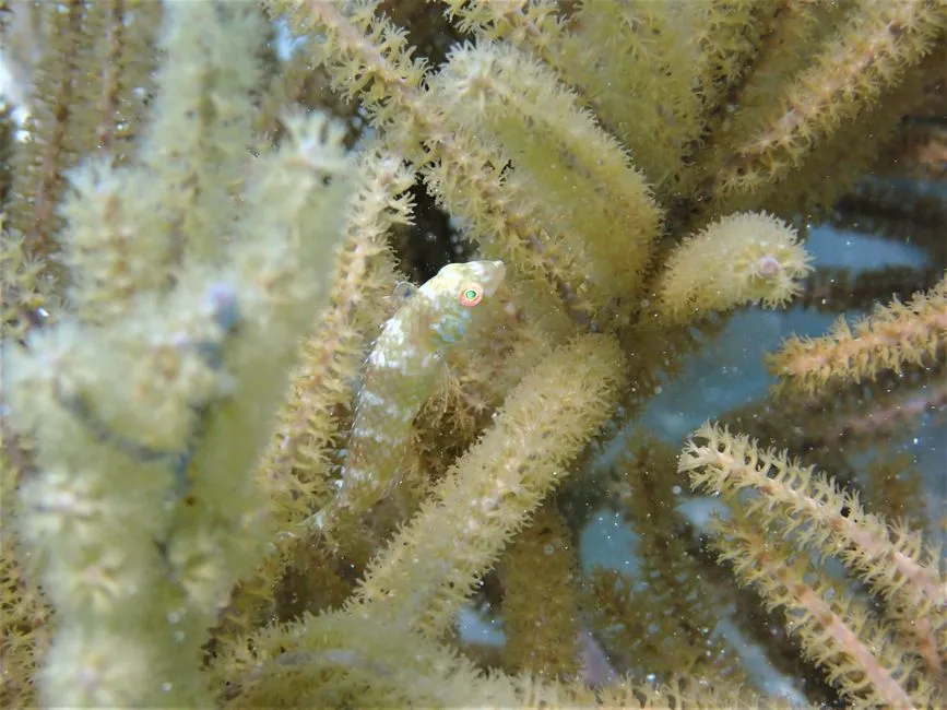 A Marine Park That Makes the Ocean Feel Sacred (Image Credits: Pexels)