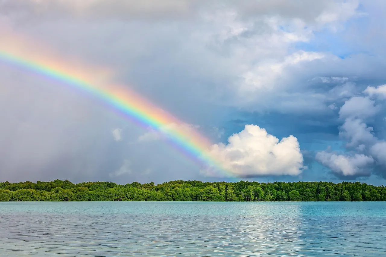 The Laguna Madre: A Hypersaline Wonder (Image Credits: Pixabay)