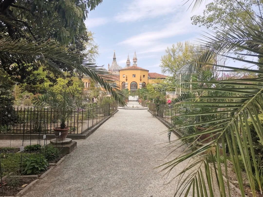 6. Orto Botanico di Padova - Padua, Italy (Image Credits: Unsplash)