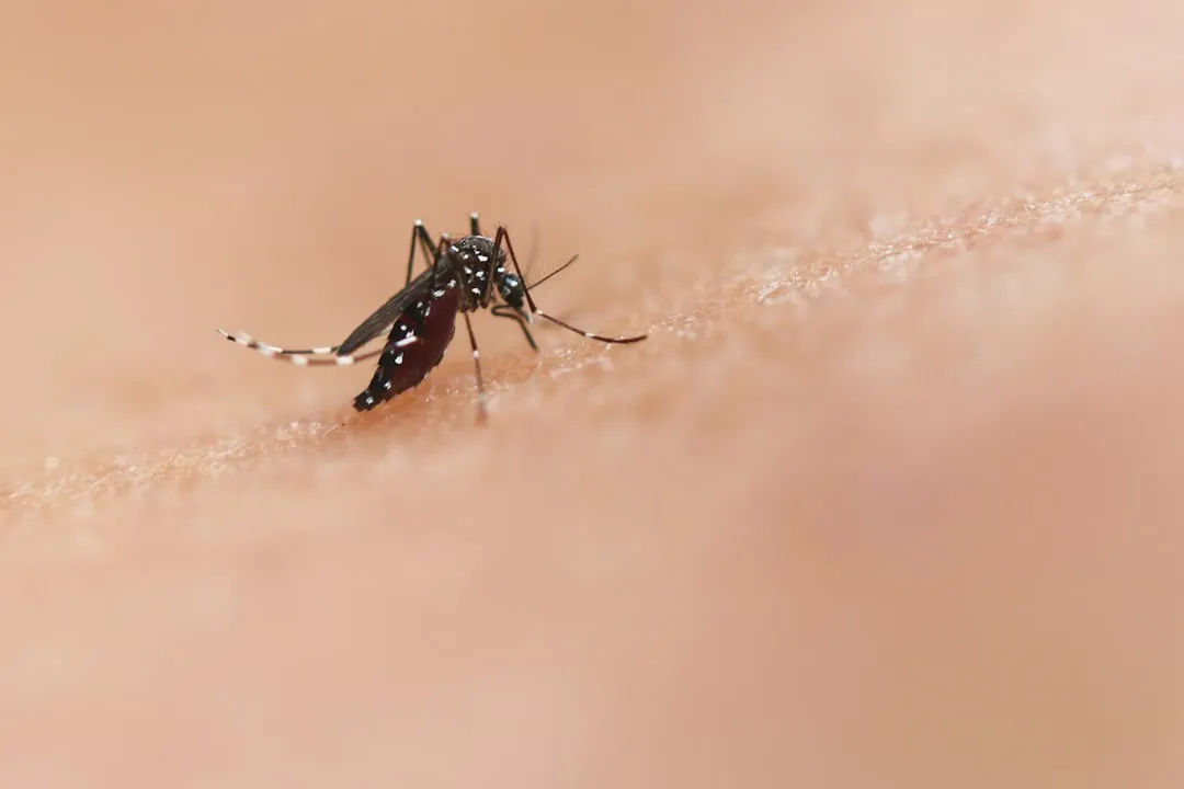 4. Insect Repellent (Image Credits: Unsplash)