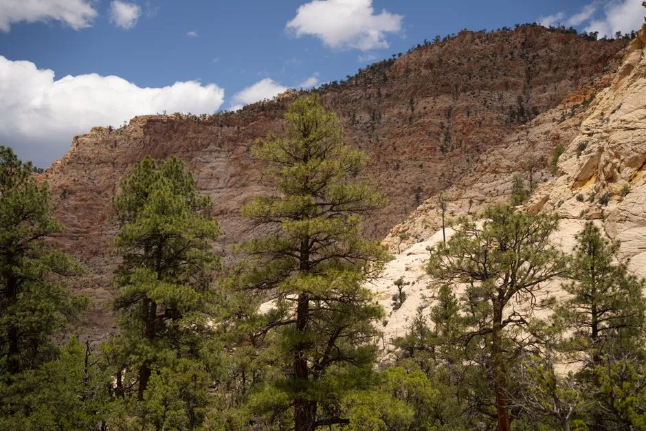 Payson's Elevation Makes All the Difference (Image Credits: Pexels)