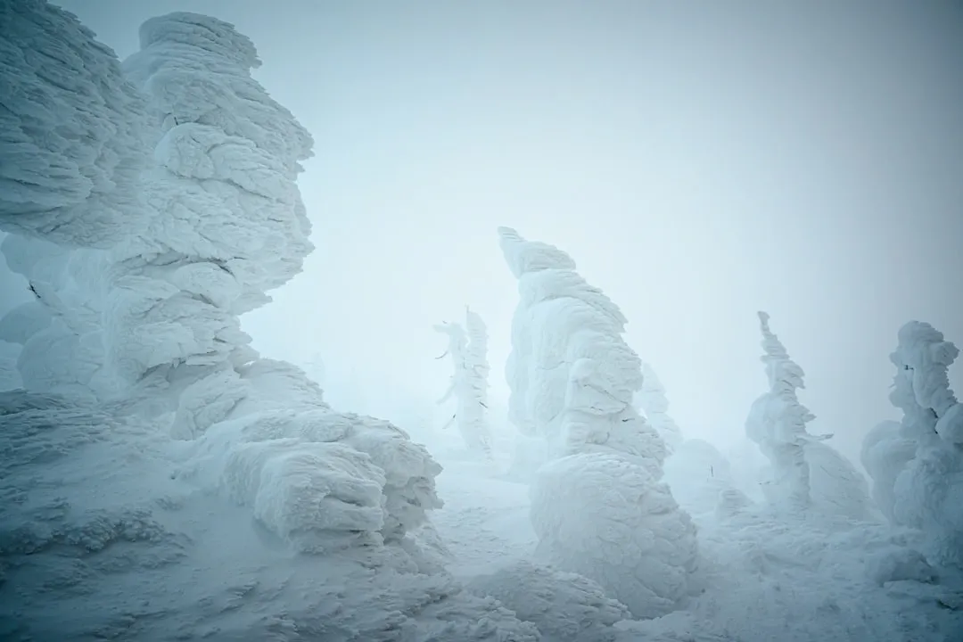 The Snow Monsters of Mount Zao (Image Credits: Unsplash)