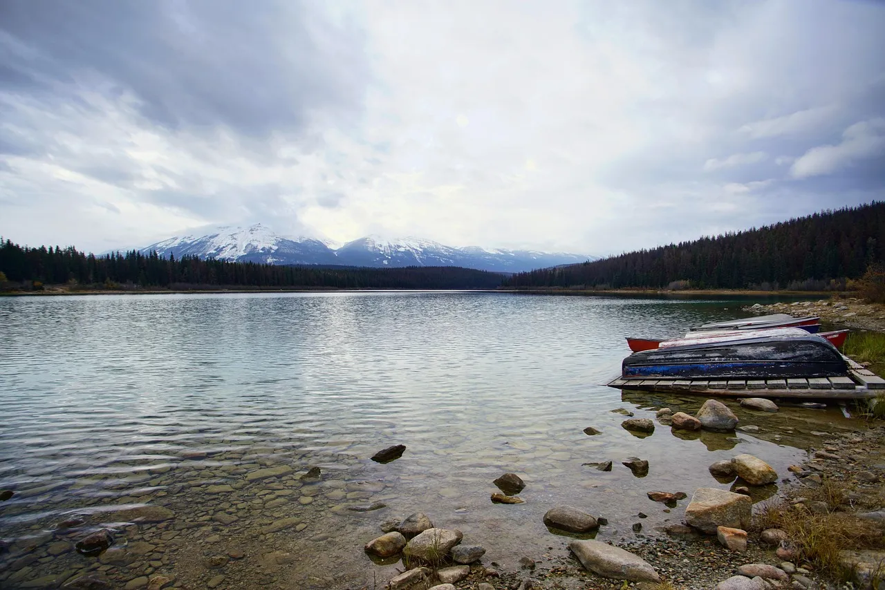 It Got Its Name From an Explorer in 1844 (Image Credits: Pixabay)