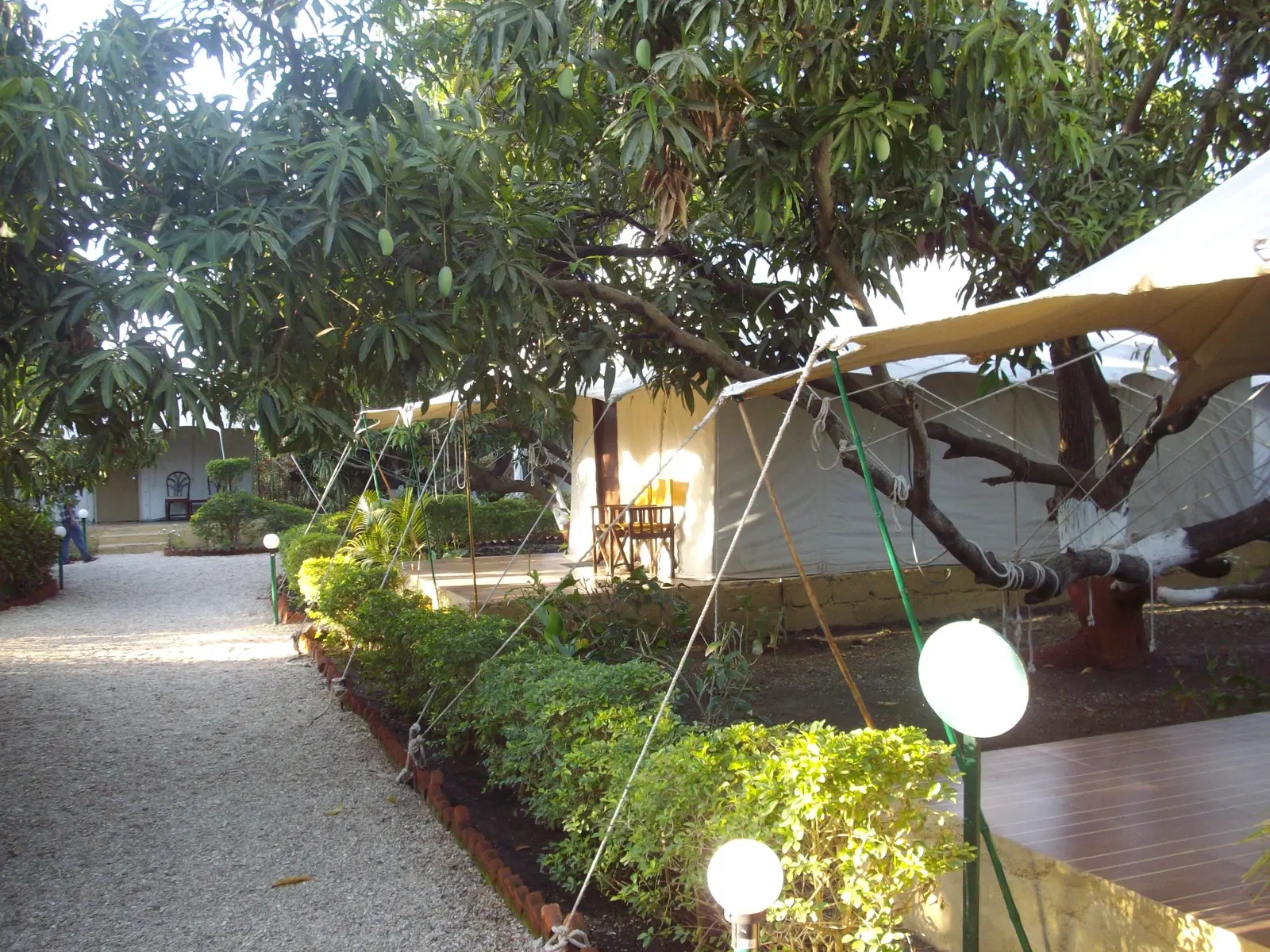 The Glamping Market They Are Fueling (By Rudolph.A.furtado, CC0)