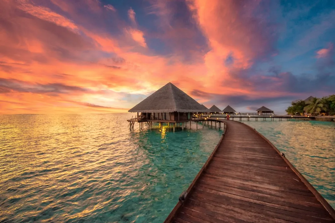 The Best Seasons to Book (and When to Save) (Image Credits: Unsplash)