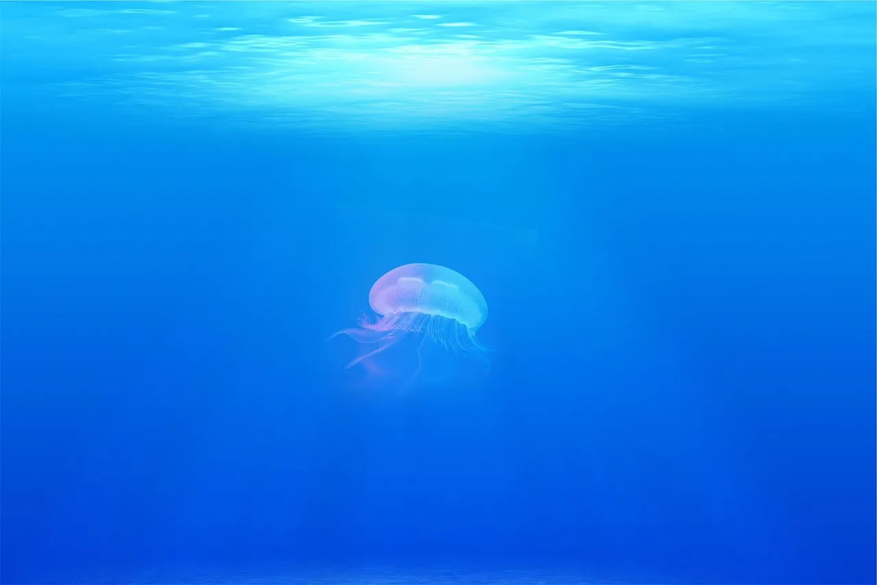 Why These Bays Form Where They Do (Image Credits: Pixabay)
