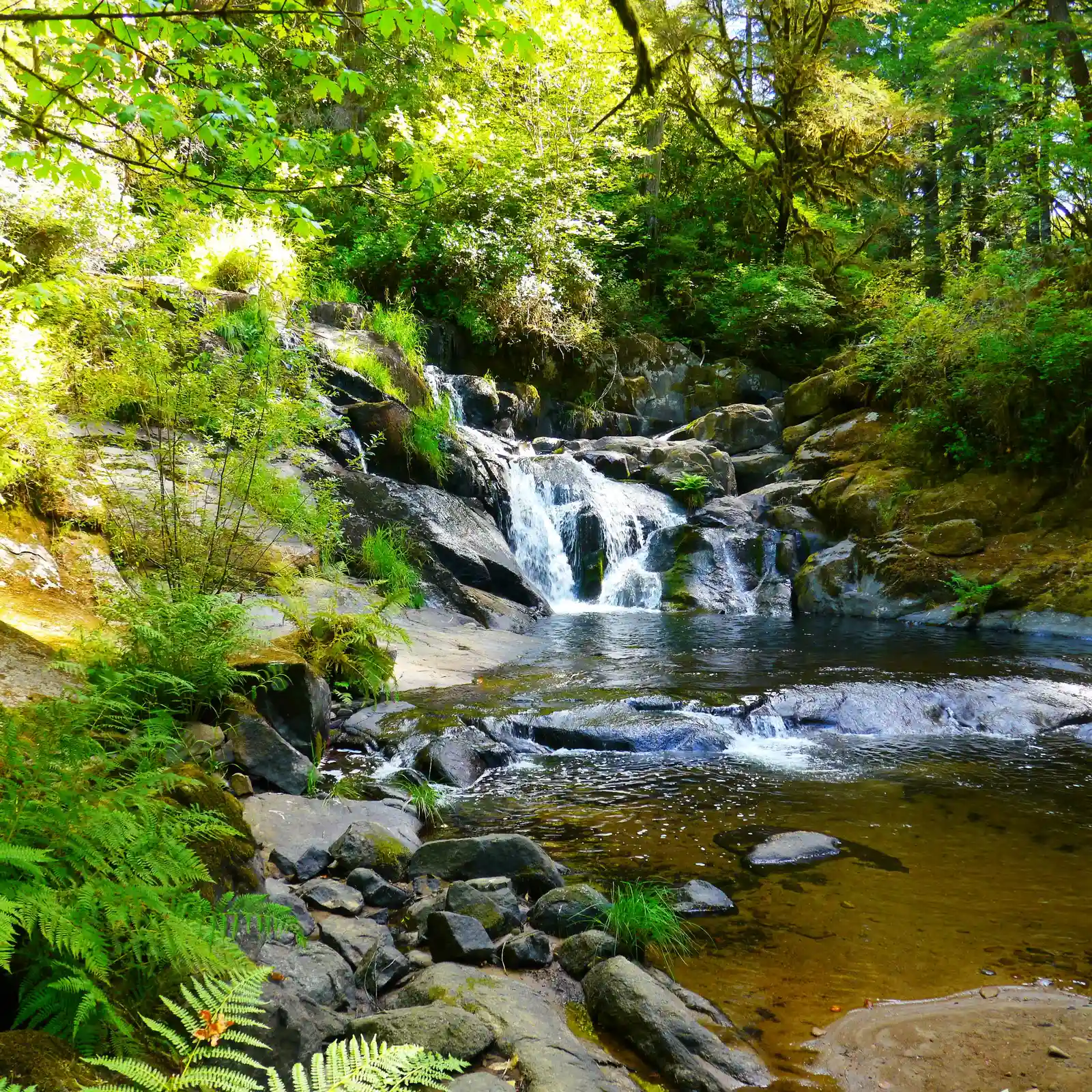 Beaver Falls: The Reward at the End of Everything (By Only in Oregon, CC BY 2.0)