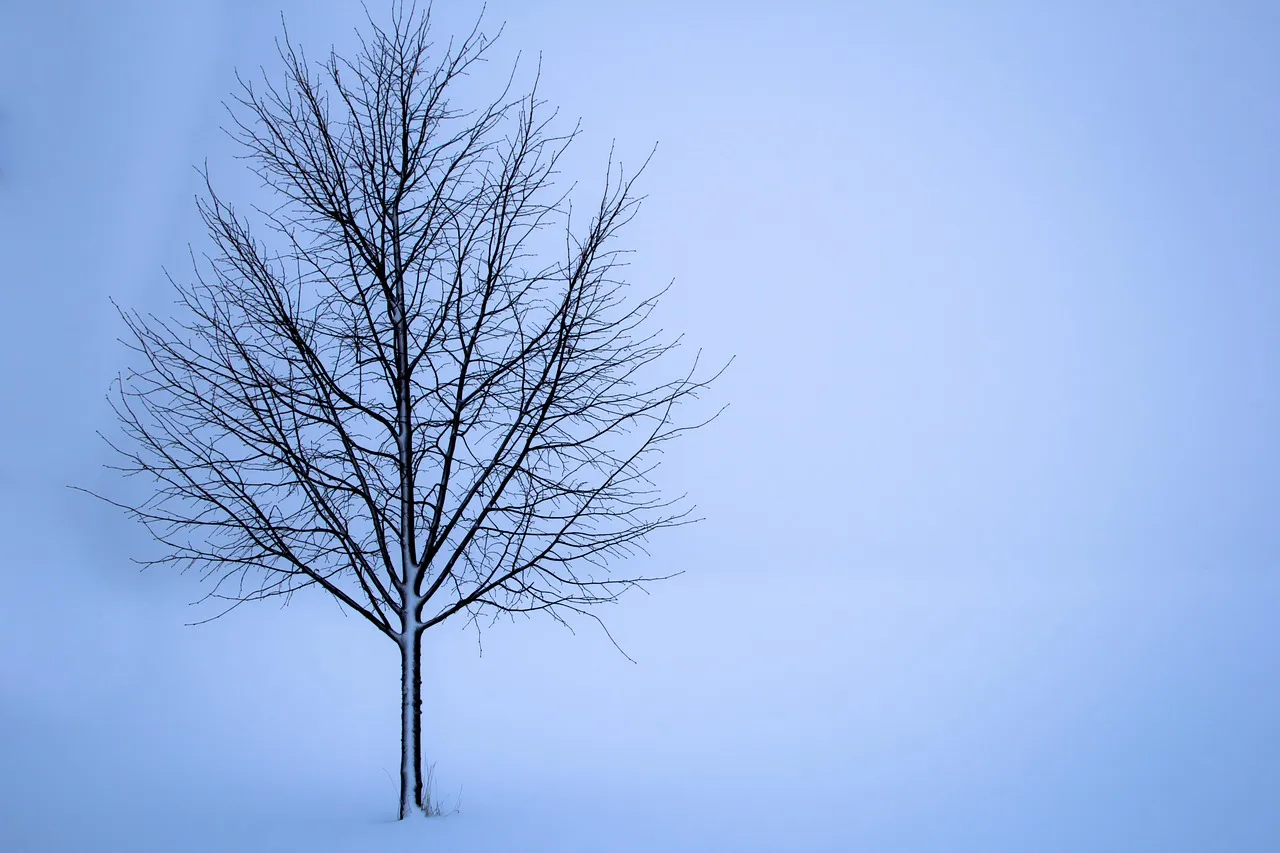 What Shoulder Season Teaches That Summer Cannot (Image Credits: Pixabay)