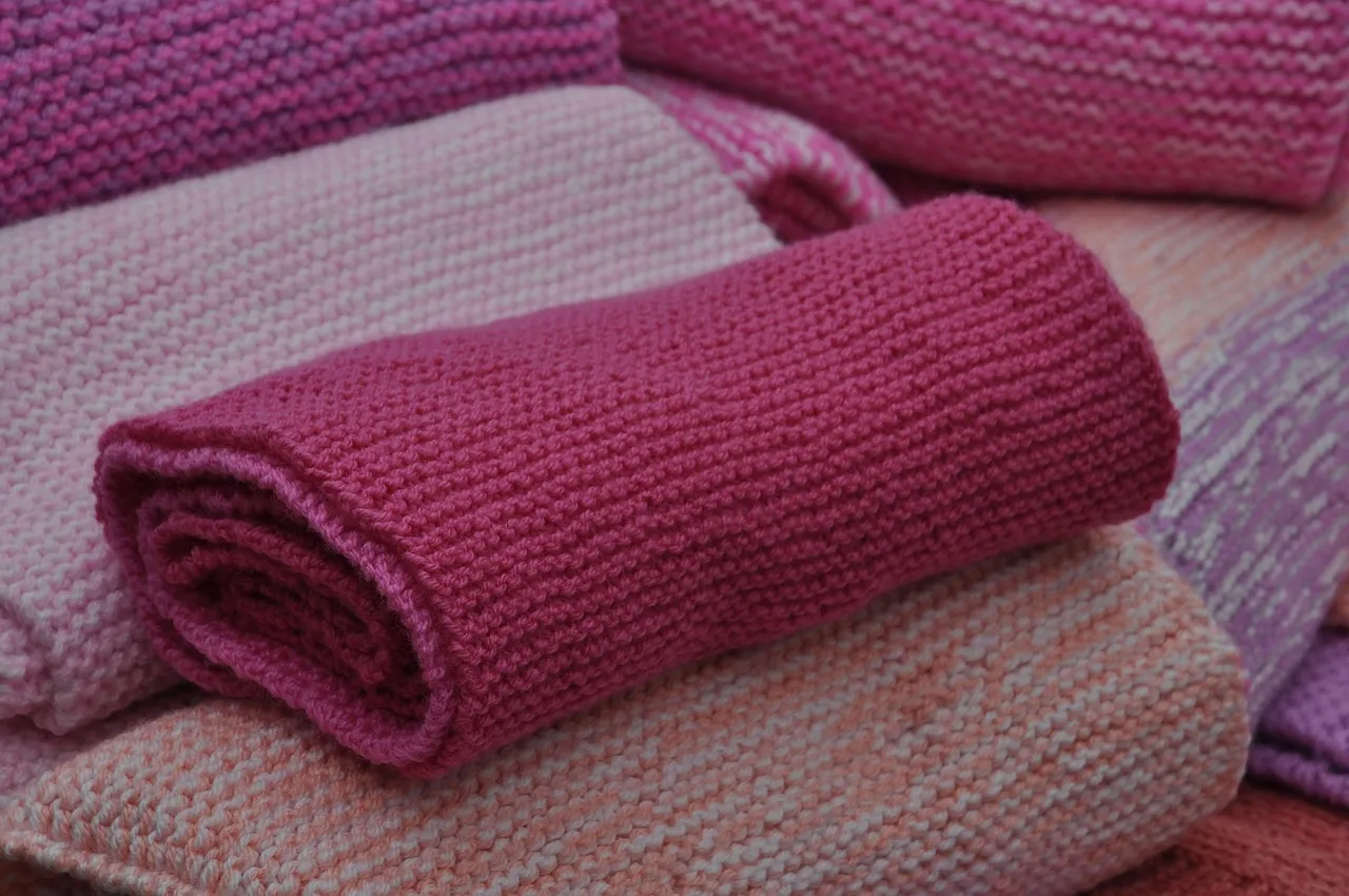 Layer Two: Roll Your Clothes, Don't Just Fold Them (Image Credits: Pixabay)