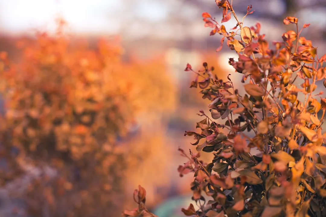 All Four Seasons Have a Reason (Image Credits: Unsplash)
