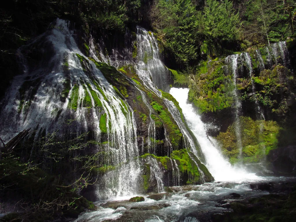 Where Exactly Is Panther Creek Falls? (Image Credits: Flickr)