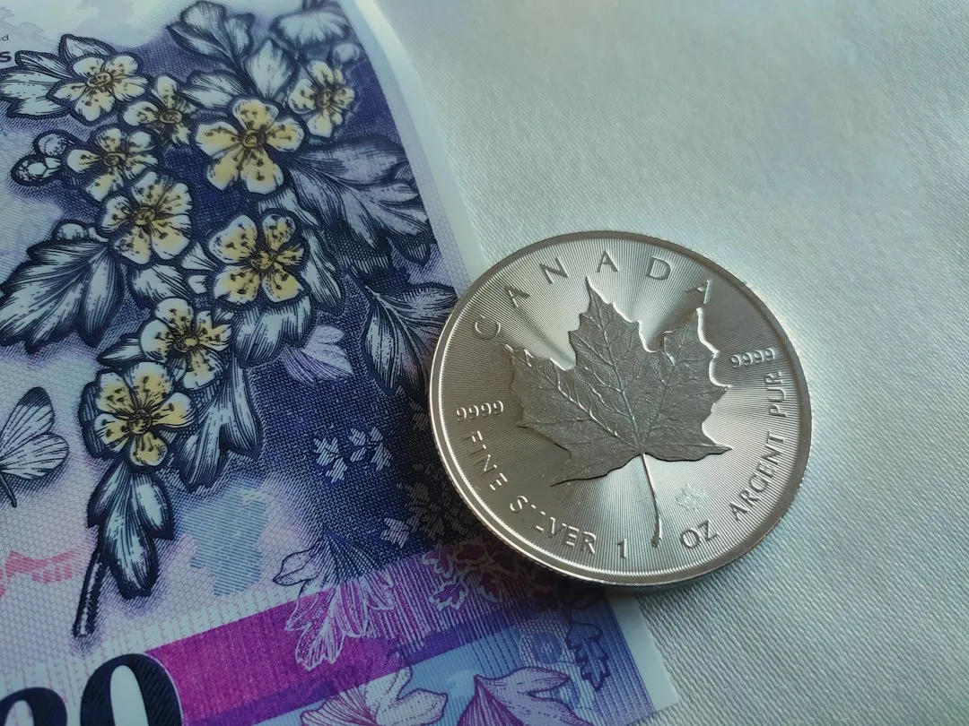 Canada's Experience Offers a Useful Comparison (Image Credits: Unsplash)
