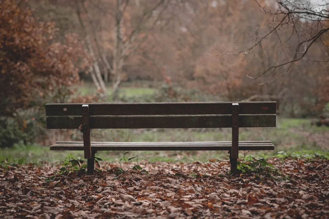 Adaptation and Acculturation Reshape How Home Feels Upon Return (Image Credits: Unsplash)