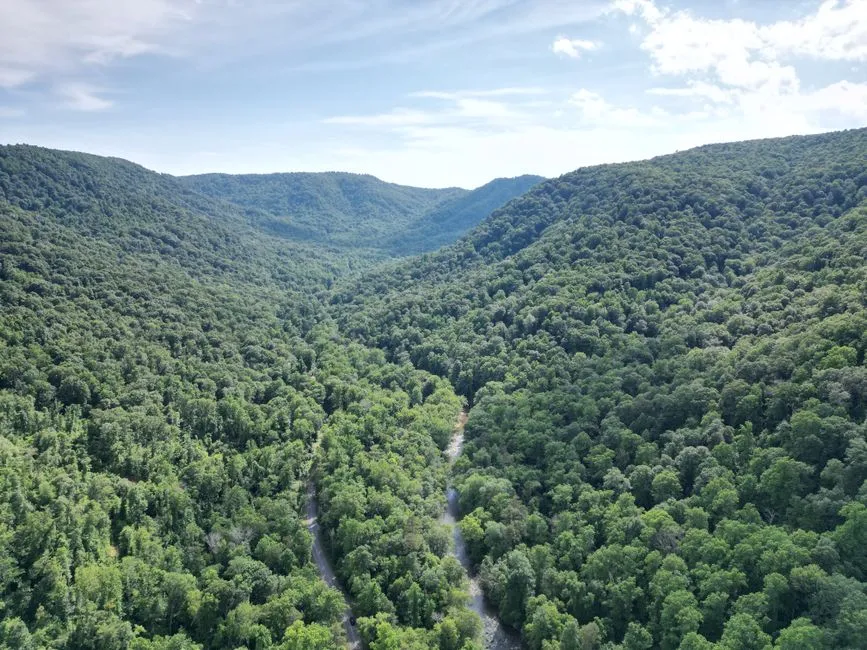 3. Pisgah National Forest, North Carolina (Image Credits: Pexels)