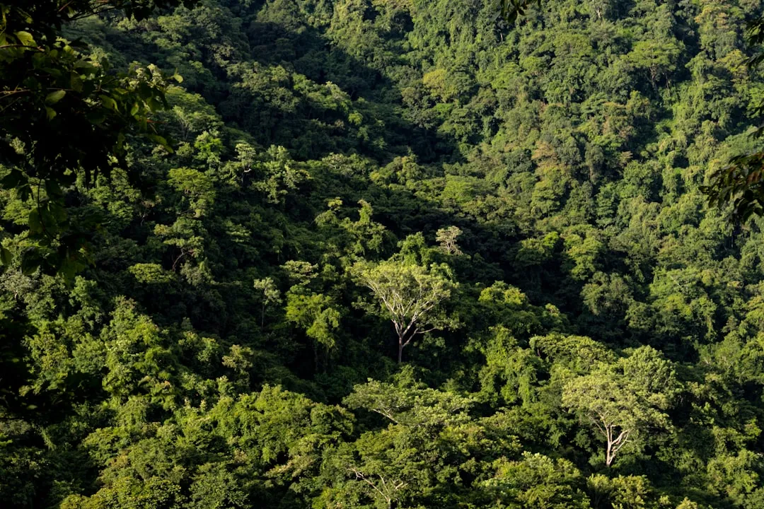 The Site with Natural Privacy Buffers: Vegetation Matters More Than People Expect (Image Credits: Unsplash)
