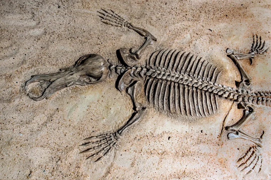 The Museum That Surprises Nearly Everyone (Image Credits: Unsplash)