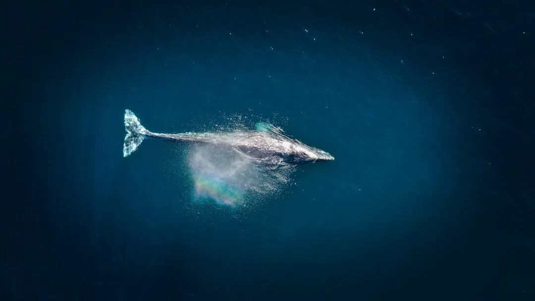 The Wildlife Living Here Is Genuinely Extraordinary (Image Credits: Unsplash)