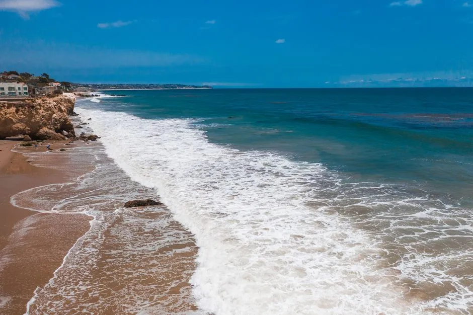 The Pacific Surfliner: Sit on the West Side for the Ocean (Image Credits: Pexels)