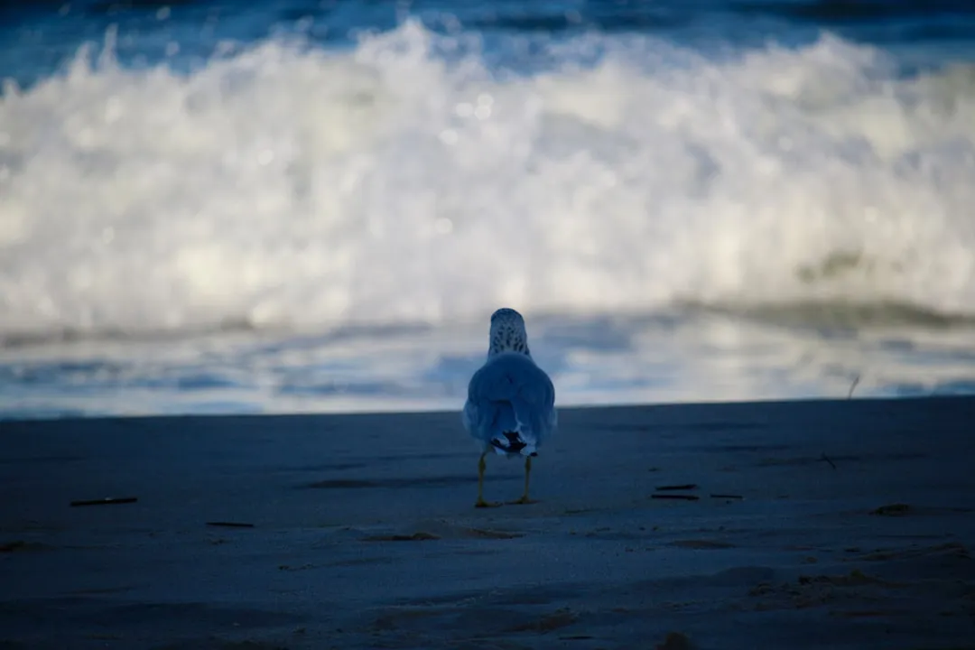 Lewes as Part of a Booming Delaware Tourism Picture (Image Credits: Unsplash)