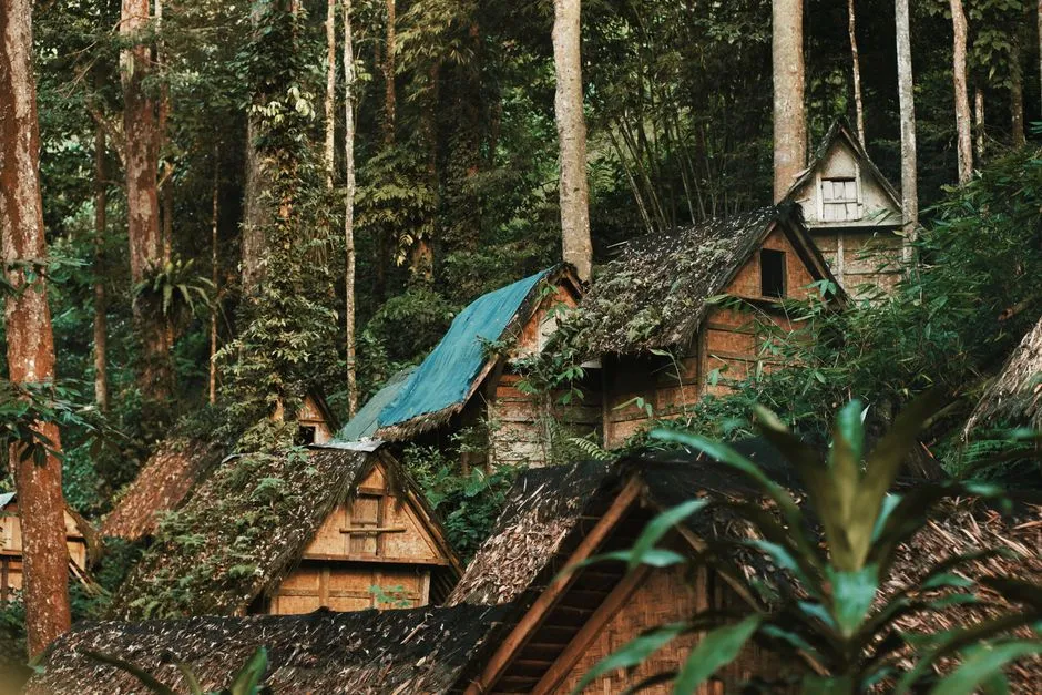 The Bigger Picture: Why This Trend Feels Durable (Image Credits: Pexels)