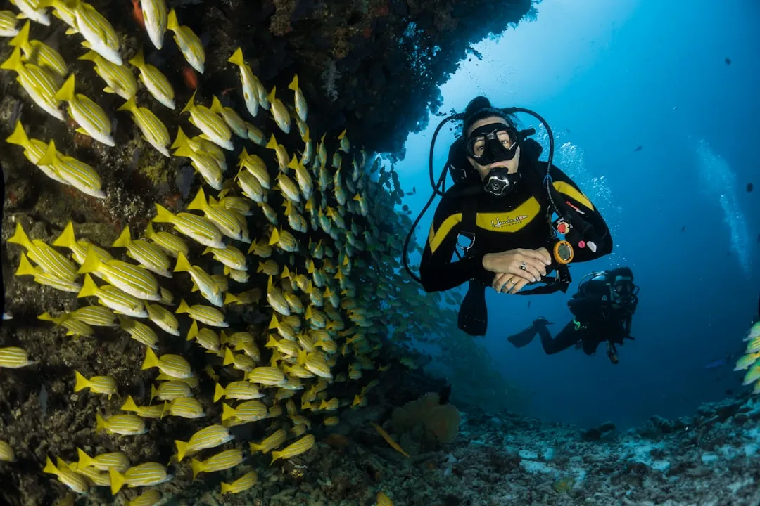 Bonaire, Caribbean Netherlands: Shore Diving Without Limits (Image Credits: Unsplash)