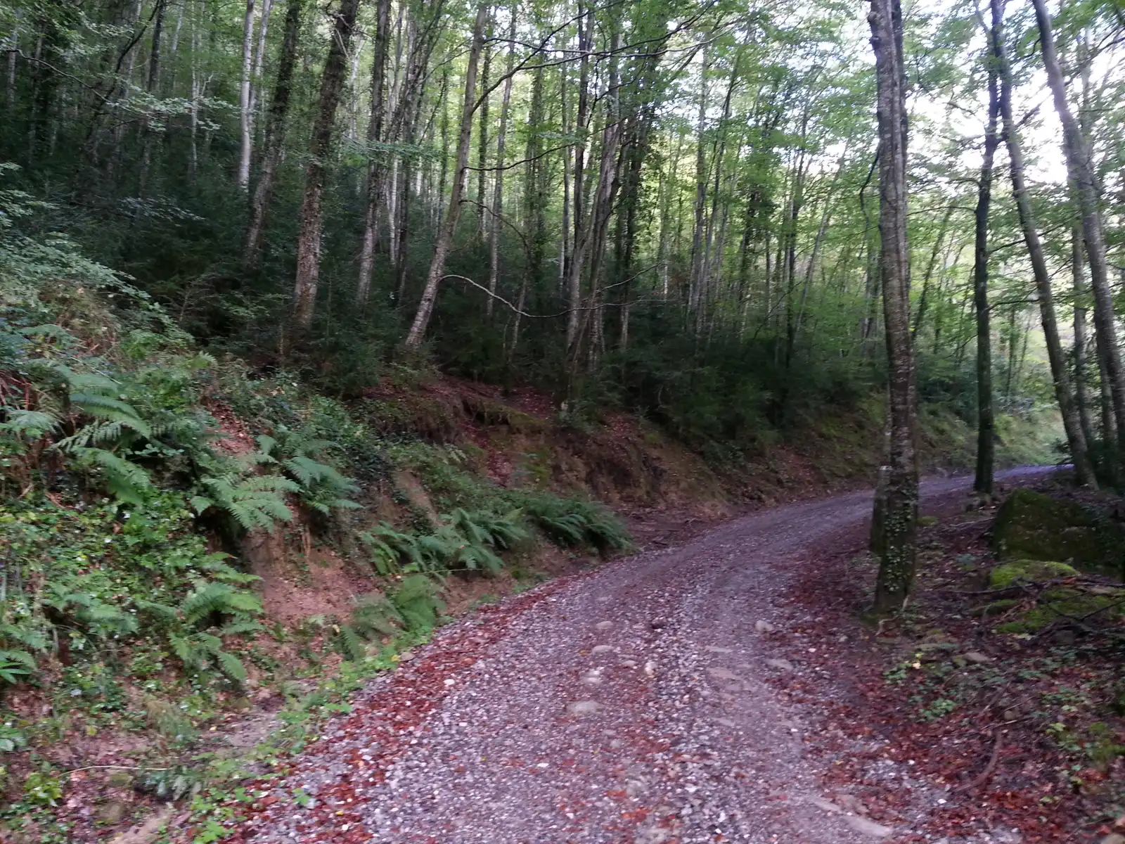Sustainable and Intentional Choices on the Trail (122, Flickr, CC BY 2.0)
