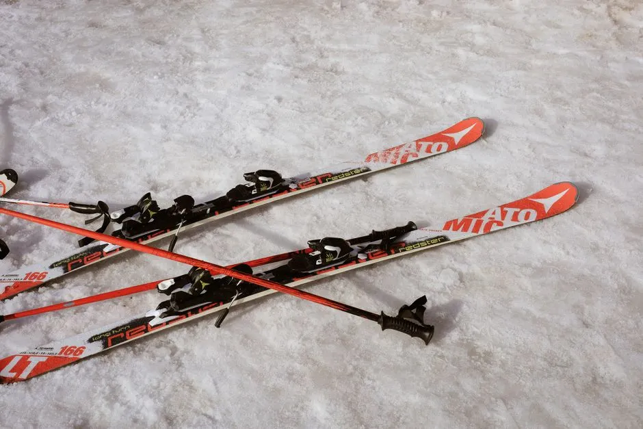 Gear Rentals and Ski School Prices Also Drop (Image Credits: Pexels)