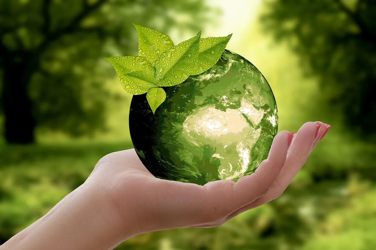 The Environmental Consciousness Factor (Image Credits: Pixabay)