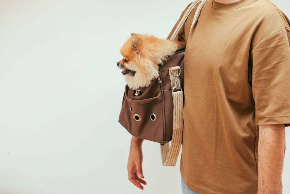 The Takeaway (Image Credits: Pexels)