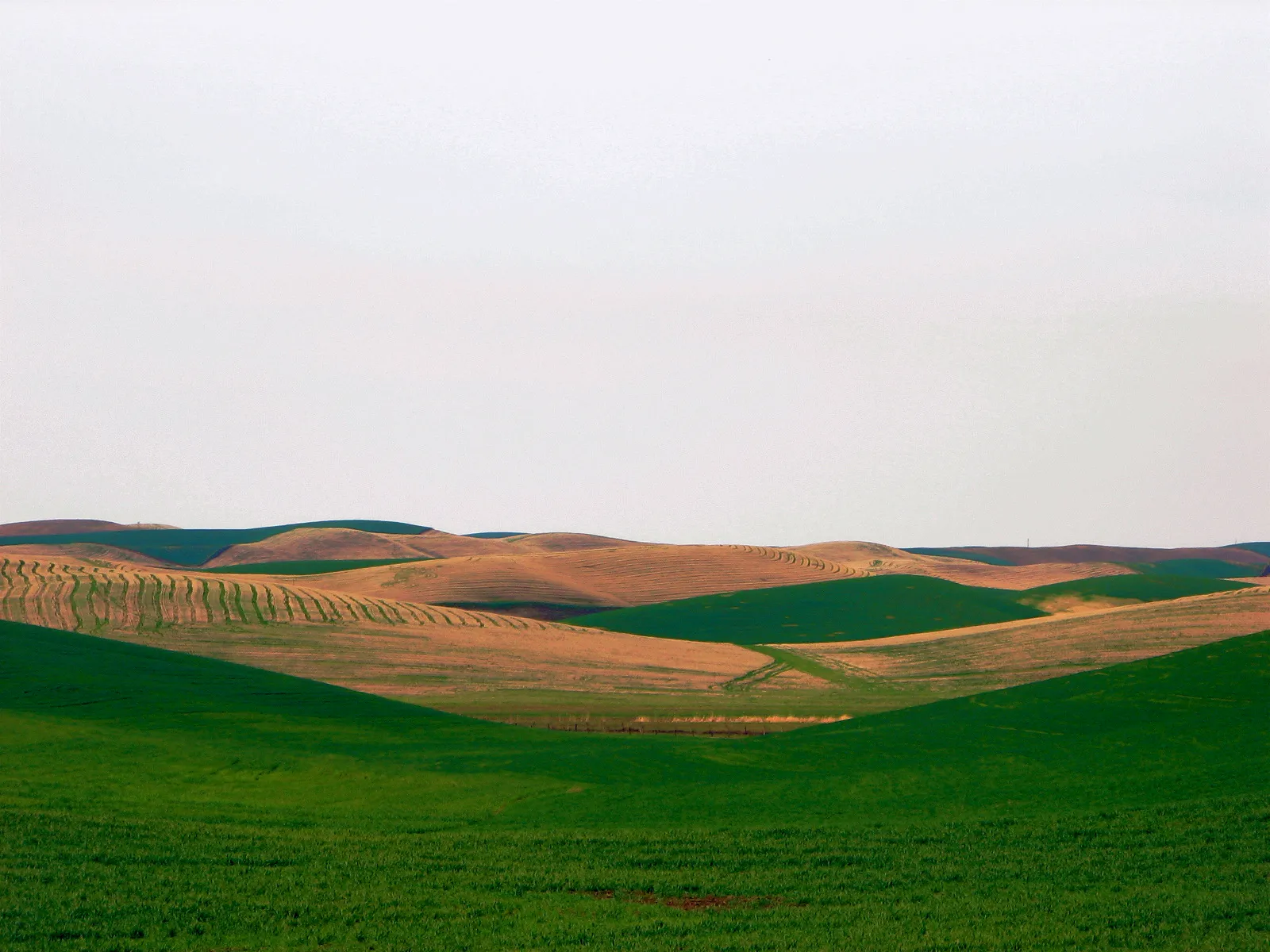 Walla Walla: Wine Country With a Climate to Match (originally posted to Flickr as Endless Emptiness, CC BY 2.0)