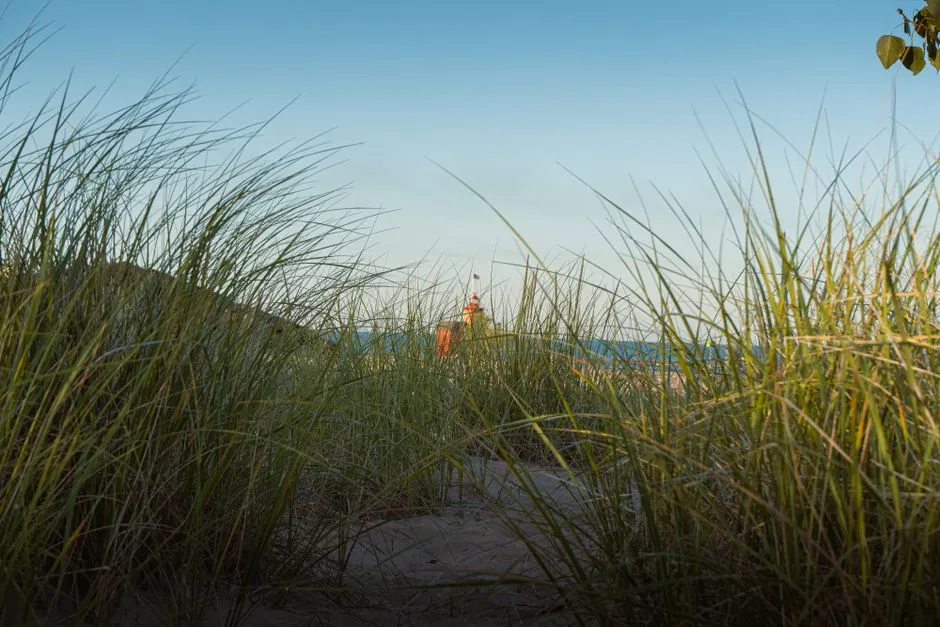 The Repeat Visit: Why Michiganders Keep Coming Back (Image Credits: Pexels)