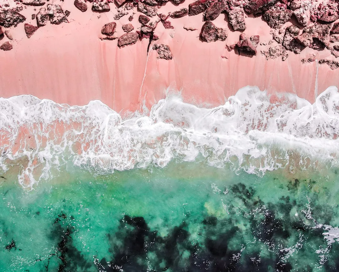 Why Is the Sand Actually Pink? (Image Credits: Unsplash)