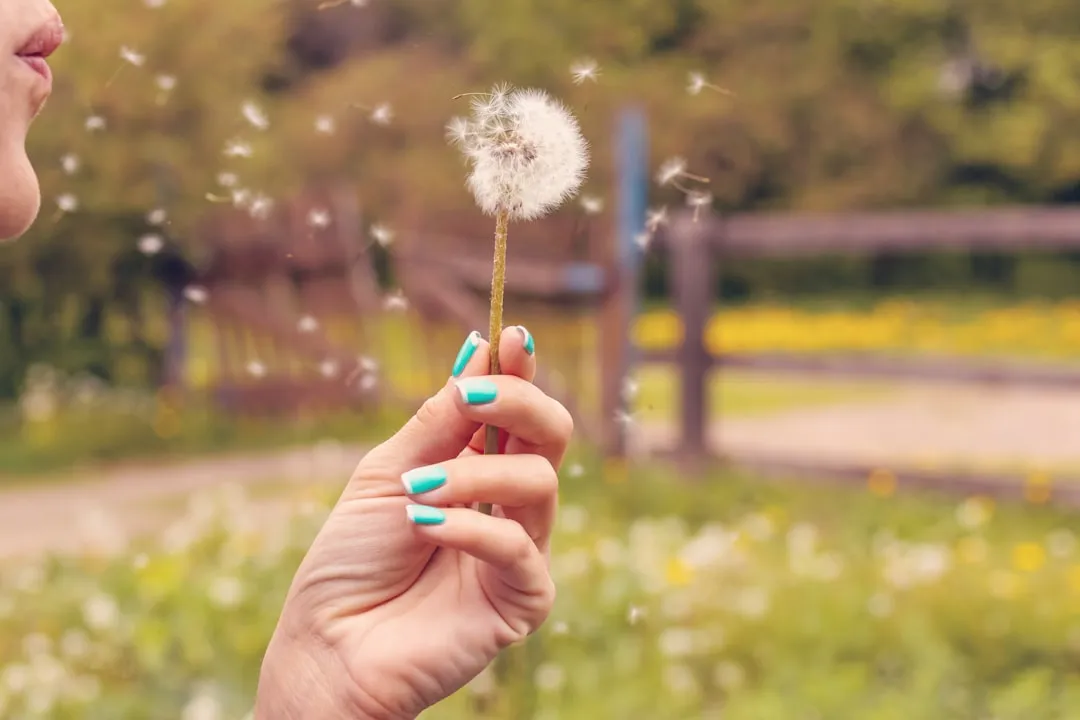 Traveling Mindfully: Pollen Isn't the Only Lakeside Consideration (Image Credits: Unsplash)