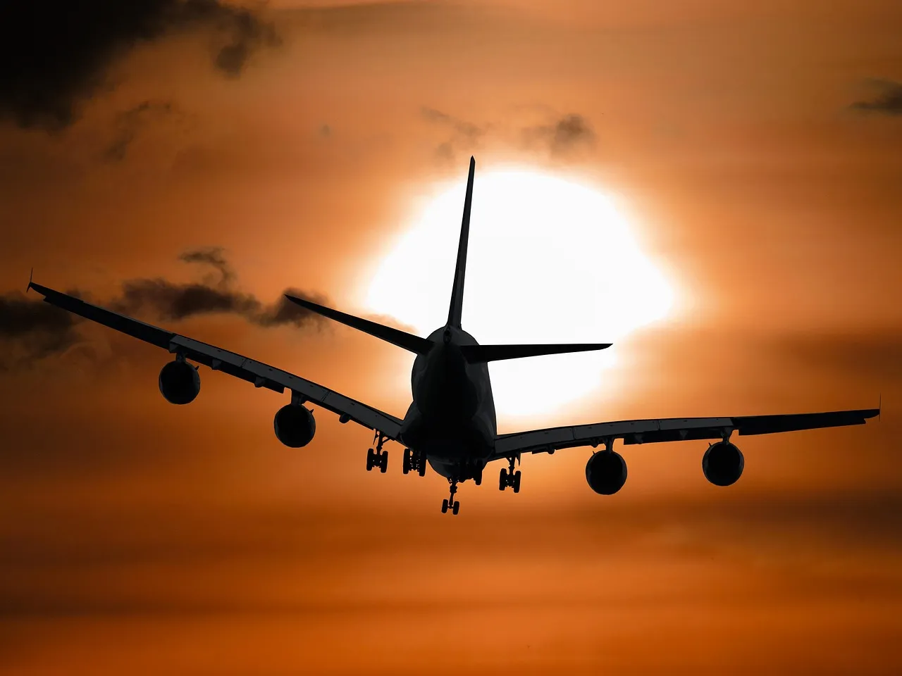 Weekday Mornings Consistently Beat Weekend Evenings for Wait Times (Image Credits: Pixabay)