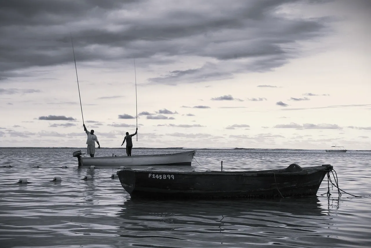 The Molokai Hoe: A World Championship Nobody Talks About (Image Credits: Pixabay)