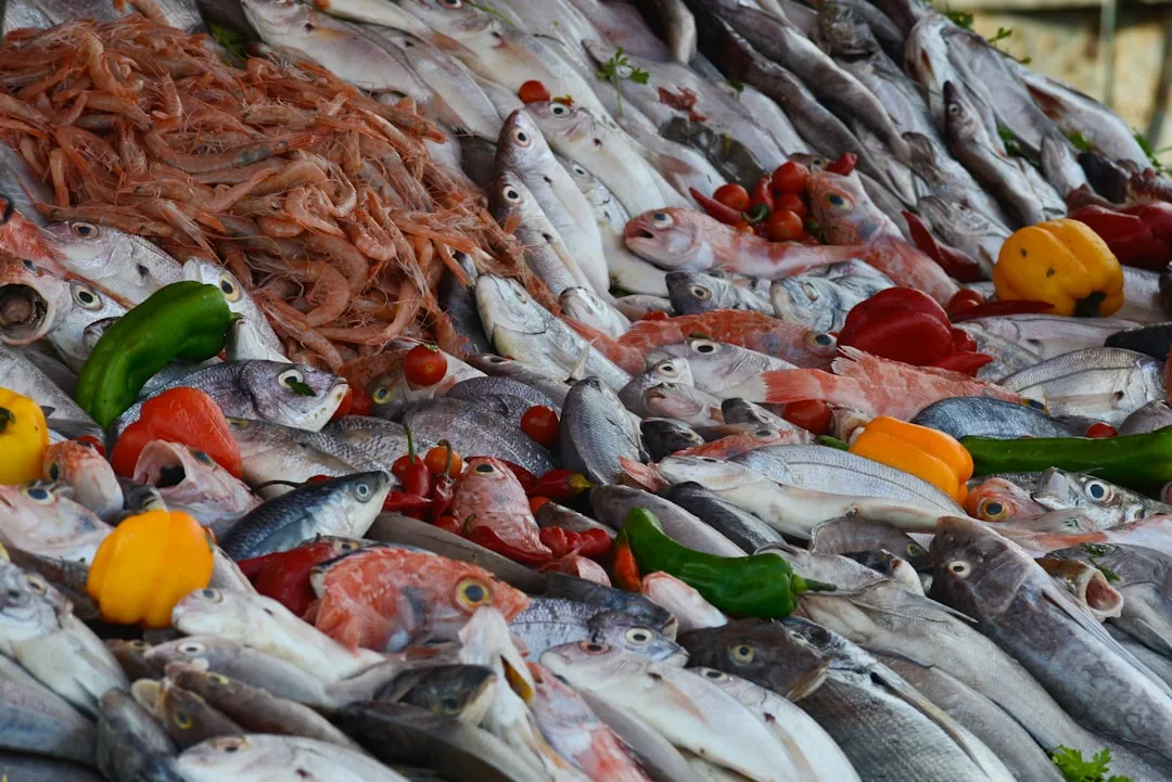 Olhão: The Algarve's Fishing Heartbeat (Image Credits: Unsplash)