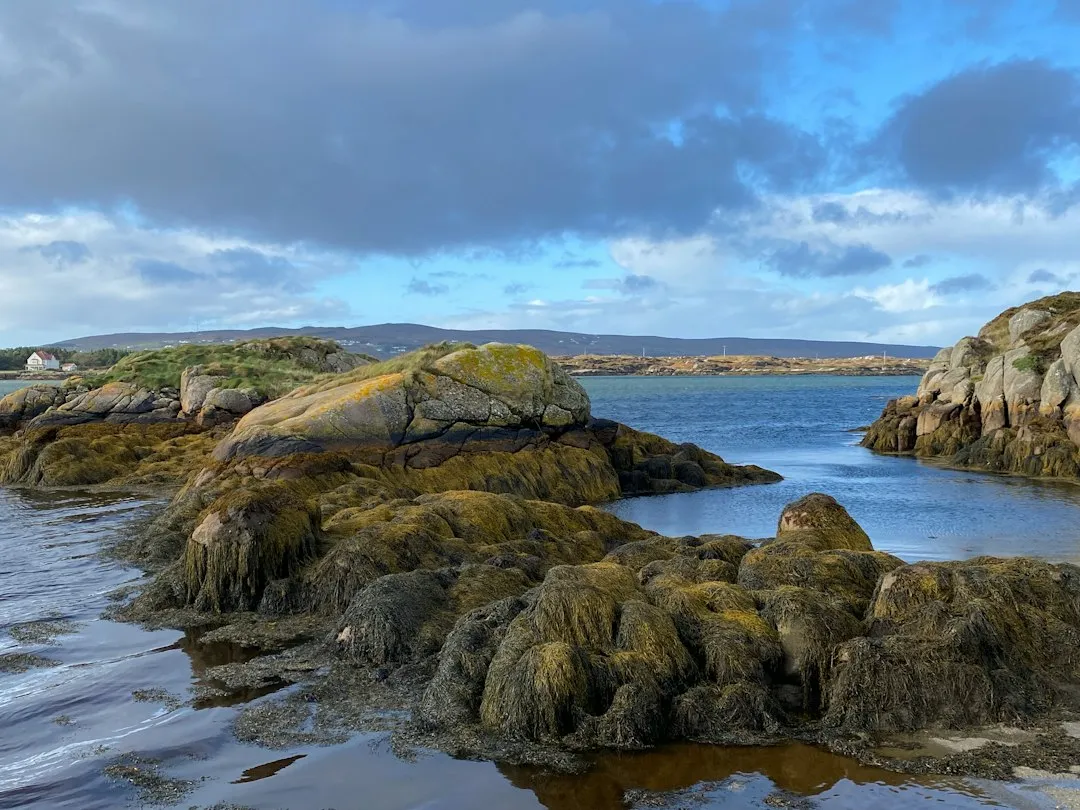 The Wild Atlantic Way: One of the World's Greatest Road Trips (Image Credits: Unsplash)